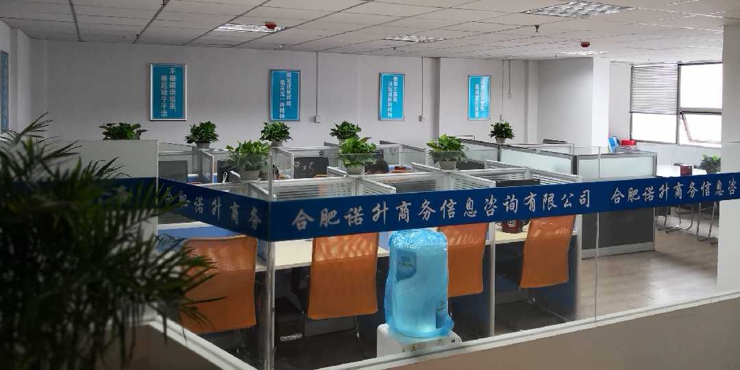 诺升商务咨询 专业信息咨询，助力企业决策